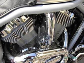Harley muscle protection wires water pump, фото