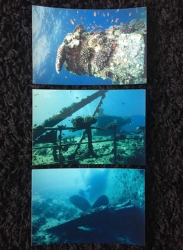 Bumper fishes diving wraki ships 3 pieces, фото