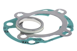 Gaskets cylinder malossi minarelli sr ciak cpi, фото