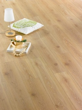 Panels floors 450 natural oak 8mm ac5., фото