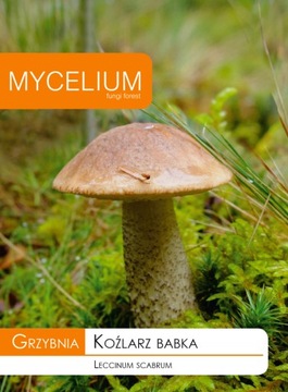 Mycelium child plantain mycelium 10 g, фото