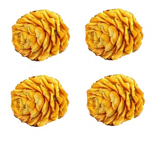 Bump modrzewiowa cones larch yellow 4 pieces, фото