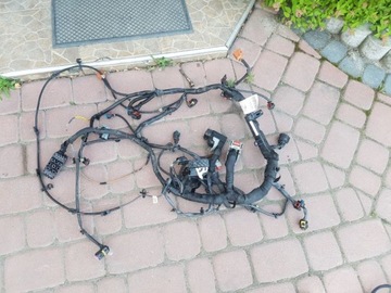 Джгут проводів двигуна Opel Insignia 22869644