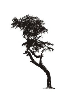 Naklejka na ścianę duże 200cm Drzewo DRX-2