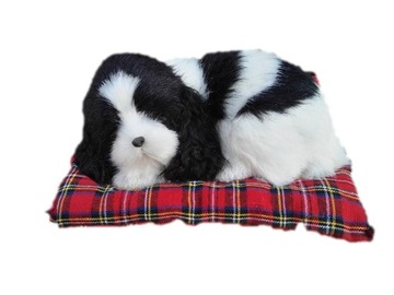 PIES ŚPIĄCY NA PODUSZCE PIESEK MAŁY COCKER SPANIEL