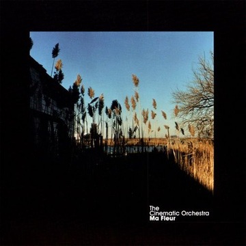 The Cinematic Orchestra - Ma Fleur