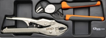 ВСТАВКА ДЛЯ ИНСТРУМЕНТАЛЬНОГО ШКАФА CORONA C1215 ЩИПЦЫ