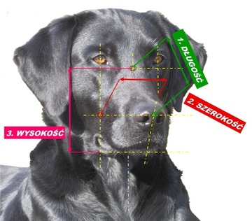 Chopo Muzzle Fizjologic Овчарка Н, Маламут СУКА