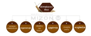 Крем-гель MIZON Snail Recovery с фильтратом улитки