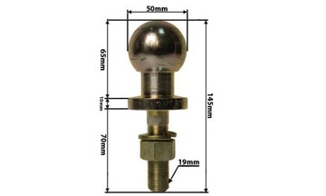 SWORZEŃ KULOWY K50 19mm 70mm DO PRZYCZEPKI ZACZEP