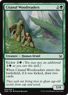 MTG 4x Citanul Woodreaders