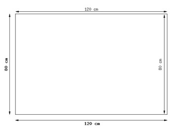 Настенная картина Животные Сибирский хаски 120х80