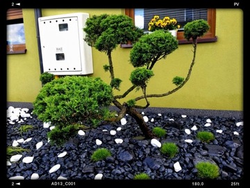 OTOCZAK czarny grafitowy NERO EBANO BIG BAG 1000KG