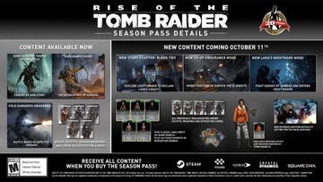 ПРАЗДНОВАНИЕ 20-ЛЕТИЯ RISE OF THE TOMB RAIDER PL PC STEAM KEY + БОНУС