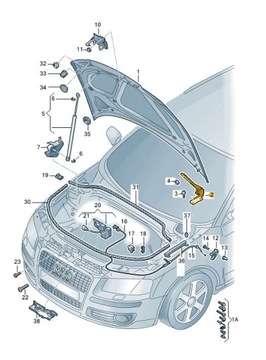 ПЕТЛЯ КАПОТА, ПЕРЕДНЯЯ ЗАСЛОНКА, AUDI A3 8P, ПРАВЫЙ ПОДЪЕМНИК, ASO