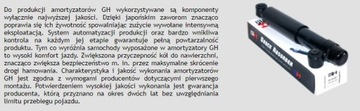 VW TRANSPORTER T4 T5 задняя часть GH+ усиленная GH+ fi 20