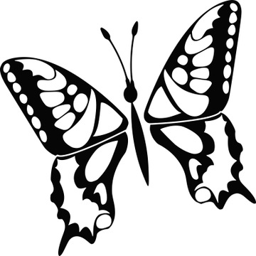 Dekoracyjna naklejka na ścianę MOTYL z motylami do salonu ścienna 15 cm