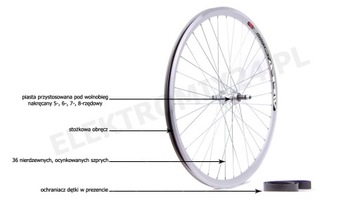 КОЛЕСО 24 ЗАДНЕЕ Stars Circle Pod Freewheel Алю СЕРЕБРЯНОЕ