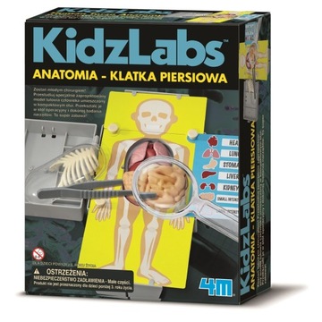 Anatomia Klatka Piersiowa Zabawka Edukacyjna domu