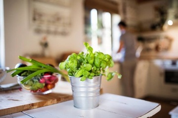 УДОБРЕНИЕ GREEN HOUSE ГУАНО ДЛЯ ТРАВ БАЗИЛИК МЯТА 0,3л
