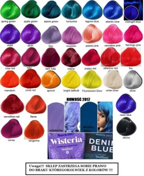 LA RICHE Directions Тонер-краска EBONY 88мл