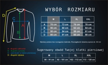 KOSZULKA TERMOAKTYWNA DO BIEGANIA BERENS L -KOLORY