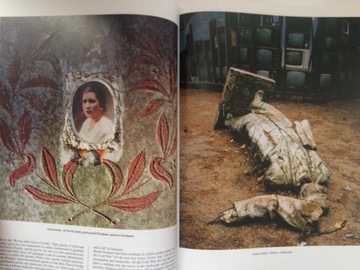 ZOOM - Международный журнал изображений Сентябрь 2004