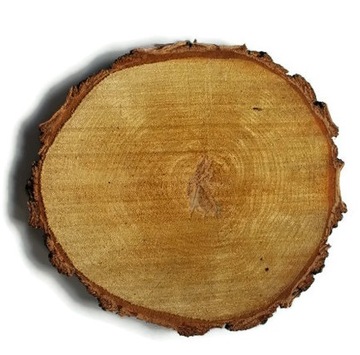 Деревянный срез, диск из березы, 30-35 см.