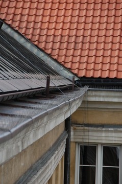 Иглы с шипами для голубей, птиц, отпугиватель птиц