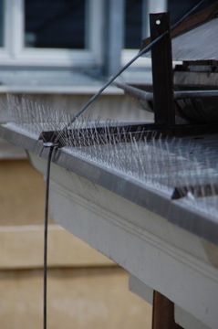 Иглы с шипами для голубей, птиц, отпугиватель птиц