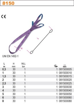 ZAWIESIE PASOWE POLIESTROWE 1T 6M ROBUR 8150