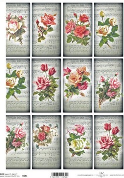 Papier Decoupage ryżowy R541