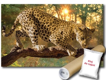 FOTOTAPETA JAGUAR DZIKI KOT 12C FXL 208x146 F242