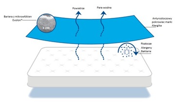 Матрас с чехлом против клещей 60x120x10 Evolon