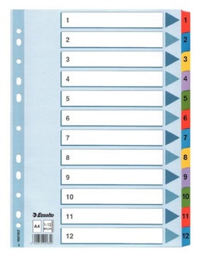 PRZEKŁADKI ESSELTE MYLAR KARTONOWE 1 - 12 A4