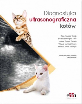 Diagnostyka ultrasonograficzna kotów badanie USG