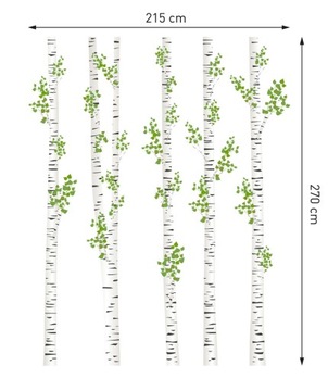 Натуральная наклейка БЕРЕЗКИ, дерево 270 см!