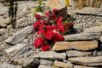 Kamień Naturalny GNEJS Kaskady Skalniak Oczka