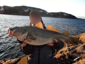 WĘDKA MISTRALL LAMBERTA MULTI PILK 2,40m /150-200g