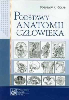 Podstawy anatomii człowieka Gołąb Bogusław K
