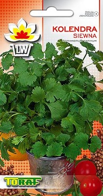 KOLENDRA SIEWNA ZIOŁO