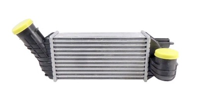 INTERCOOLER CITROEN C4 PICASSO 2.0 HDI 2007 - - milautoparts-fr.ukrlive.com