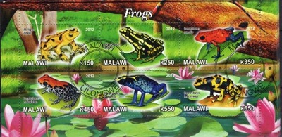 AT1627 Malawi żaby kas