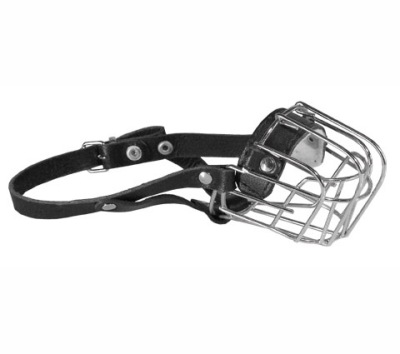 DINO KAGANIEC METALOWY DLA PSA PUDEL MAŁY 0