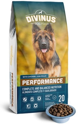 Divinus Performance dla psów aktywnych 20kg