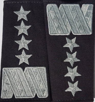 Pagony generalskie wojskowe GENERAŁ SIŁY POWIETRZNE