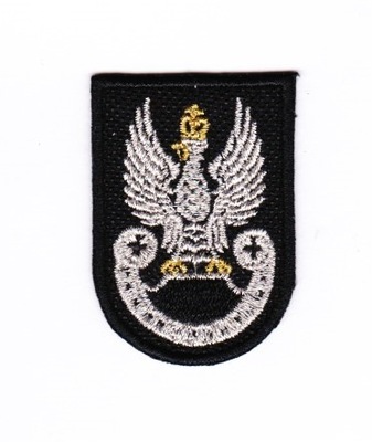VAR ORZEŁ srebrny na beret tłoczony czarna podst