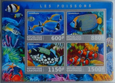 Ryby egzotyczne rybki fauna morska Gabon #VG2201