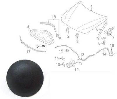 CLAMP BMW 3 F30 (1 SZT) - milautoparts-fr.ukrlive.com