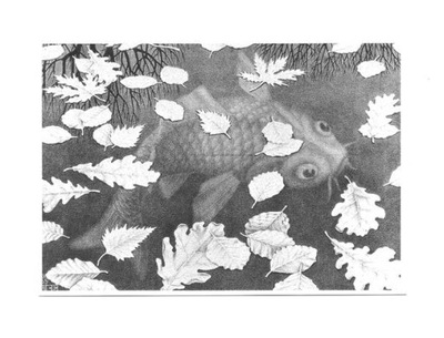 Pocztówka - M.C. Escher, Jesienny karp / ryby